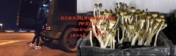 мефедрон Алзамай